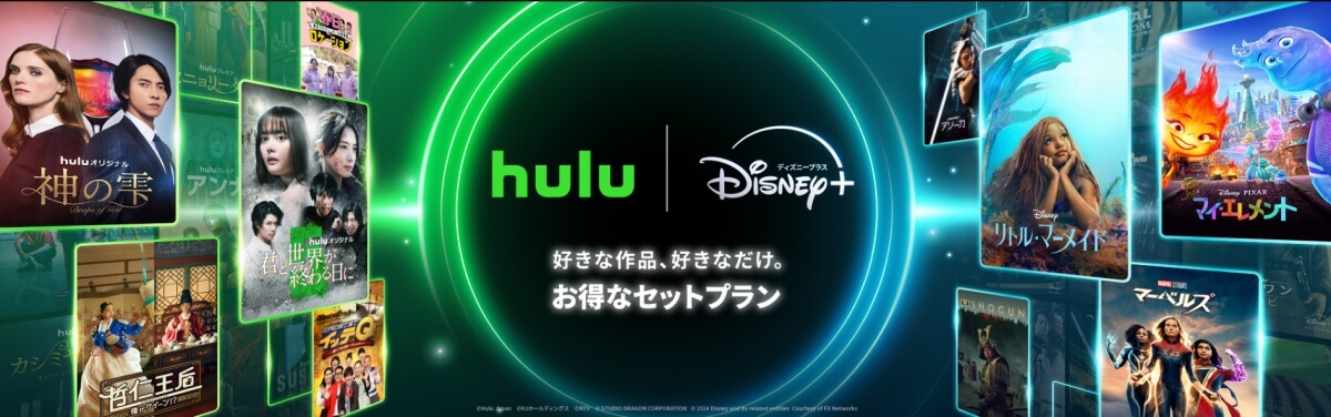 Hulu_セットプラン基本情報