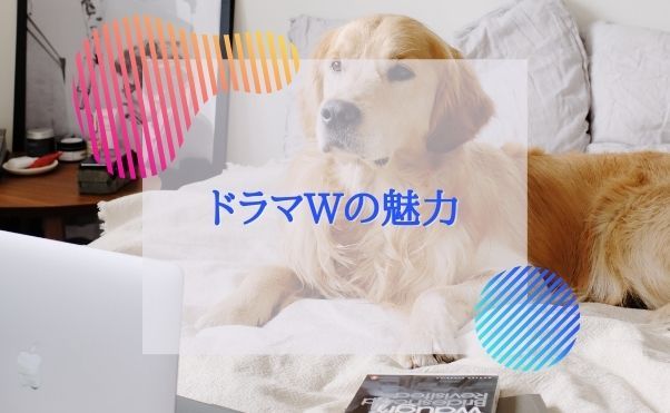 ＷＯＷＯＷ_ドラマＷの魅力