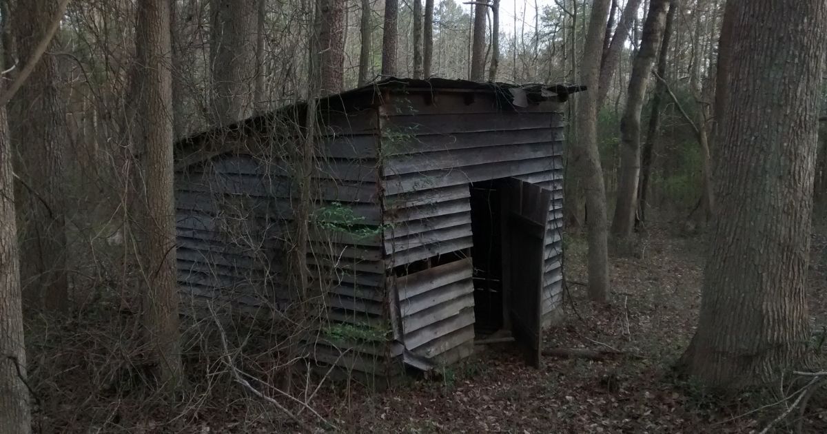 トランスワールド_ネタバレ_山小屋
