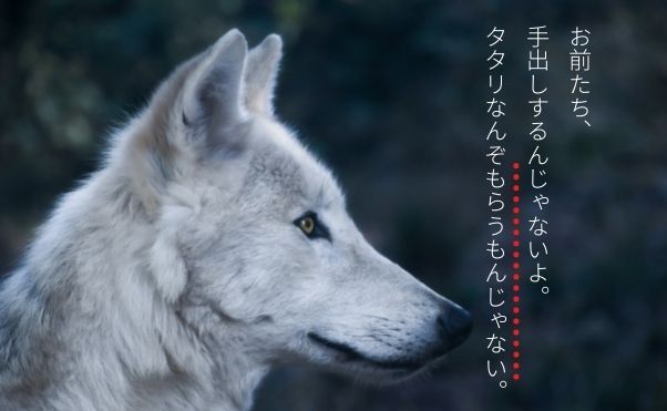 【もののけ姫】アシタカの呪いとは何だったのか