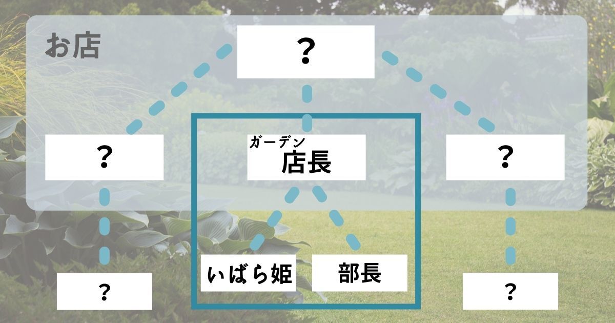 スパイファミリー_ガーデンの規模_画像