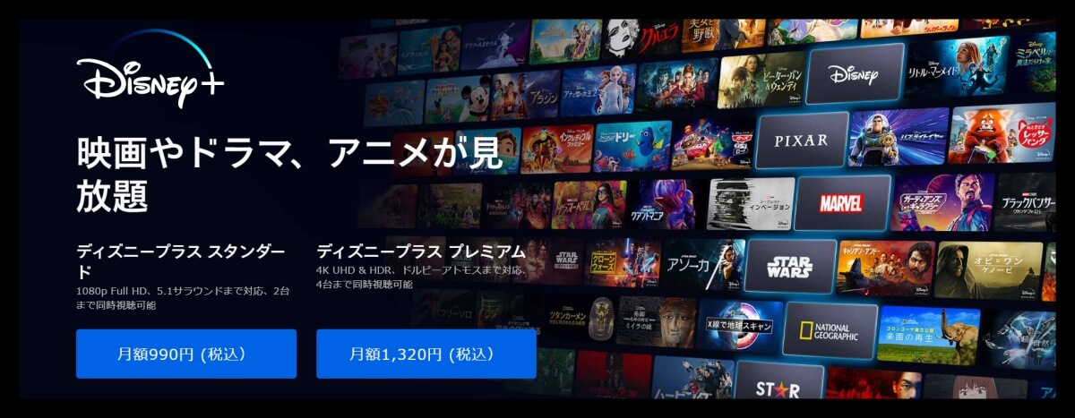 Disney+_pic