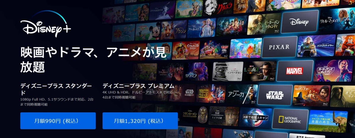 Disney＋_pic