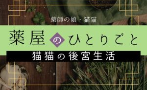 【薬屋のひとりごと】猫猫の出生の秘密？後宮での力関係と猫猫を取り巻く環境を解説