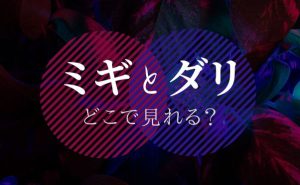 アニメ「ミギとダリ」配信情報サムネ