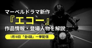 ECHO_pic