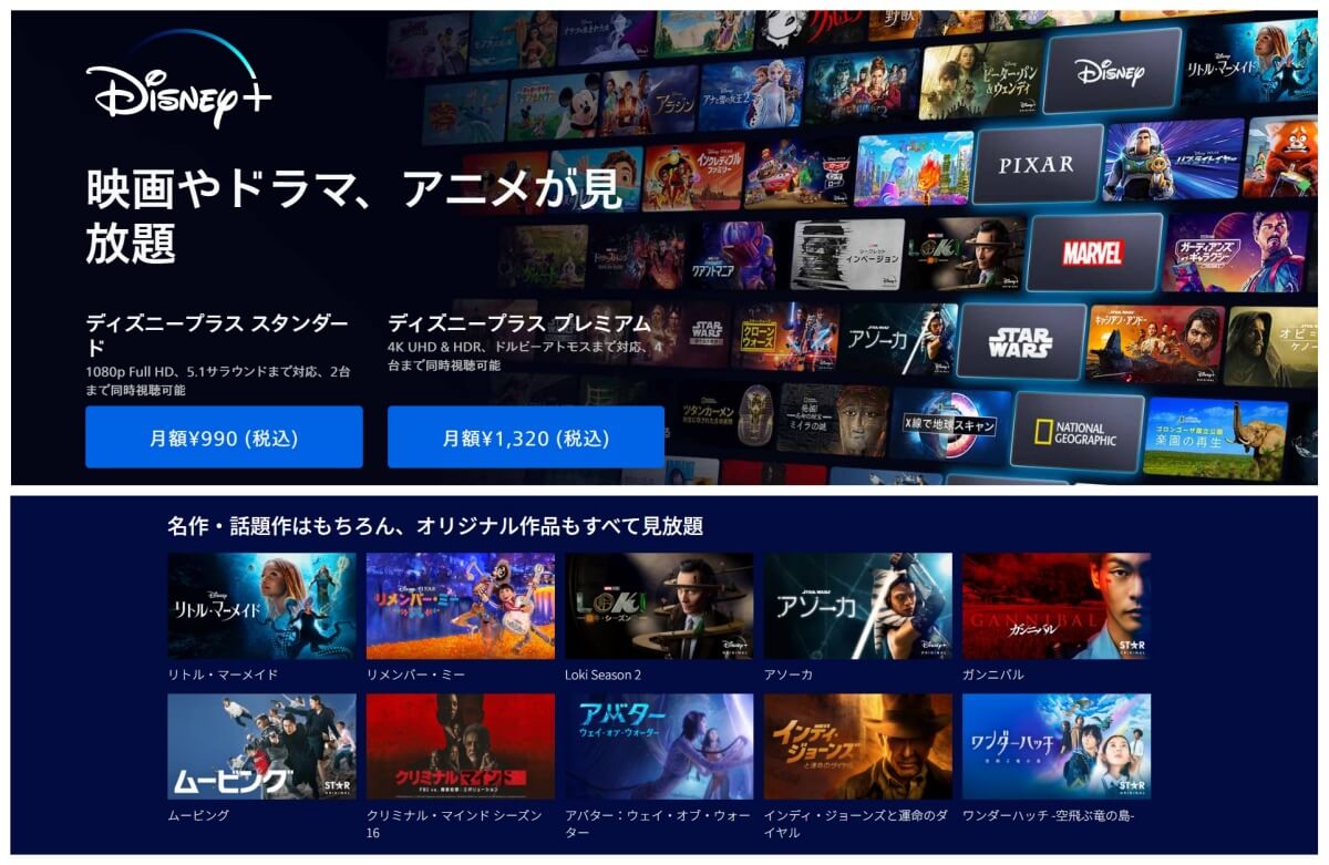 Disney＋_pic