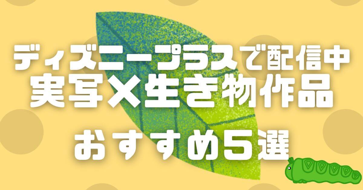 『リアル・バグズ・ライフ:虫たちのぶっ飛び大冒険!』おすすめナショナルジオグラフィック作品_アイキャッチ