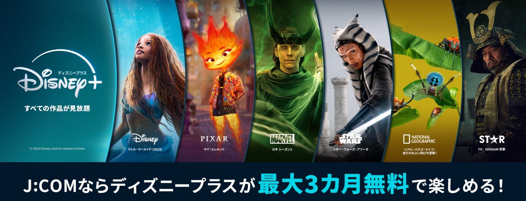 ディズニープラス_J:COM経由_登録