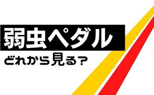 『弱虫ペダル』はどの順番で見る？追いかけるなら総集編がオススメ