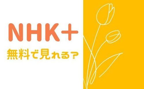 NHK＋は無料？NHKの見逃し配信サービスについて解説